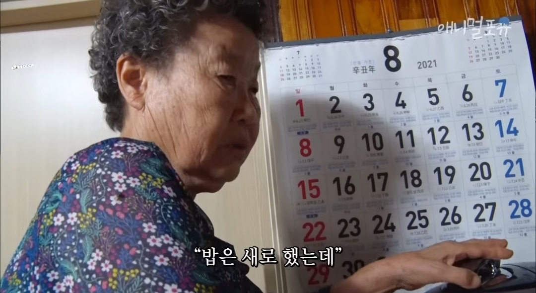 치매 걸린 아내가 4년만에 끓여준 미역국 | 인스티즈