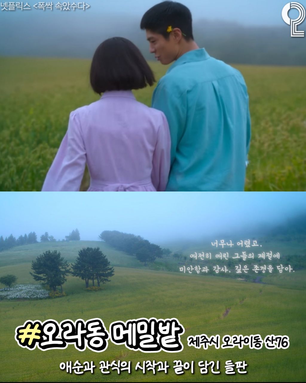폭싹 속았수다 제주 촬영지 총정리 | 인스티즈