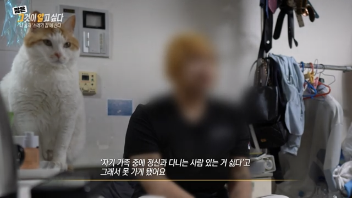 그알 쓰레기집에 처음 방문한 제작진이 신기한 고양이 별이 | 인스티즈