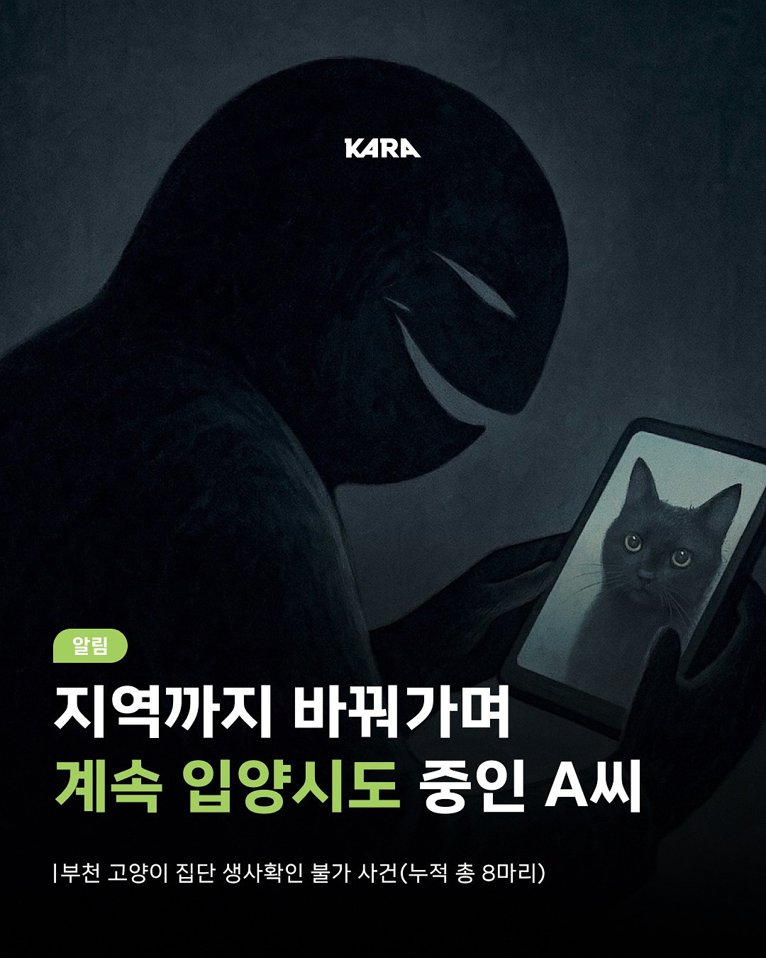 ⚠️고양이 입양보낼때 조심해⚠️ | 인스티즈