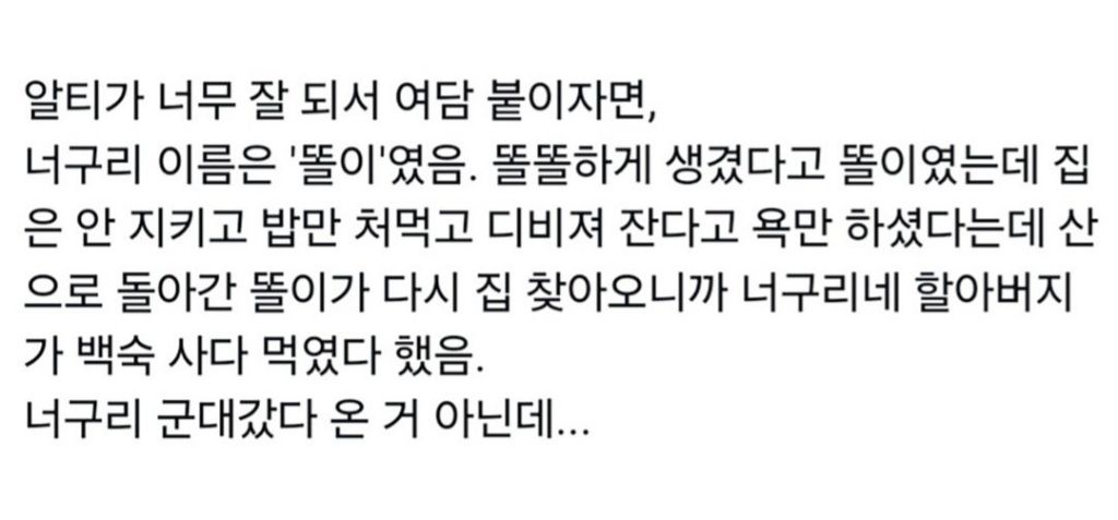 할아버지가 산에서 주운 강아지의 대반전 | 인스티즈