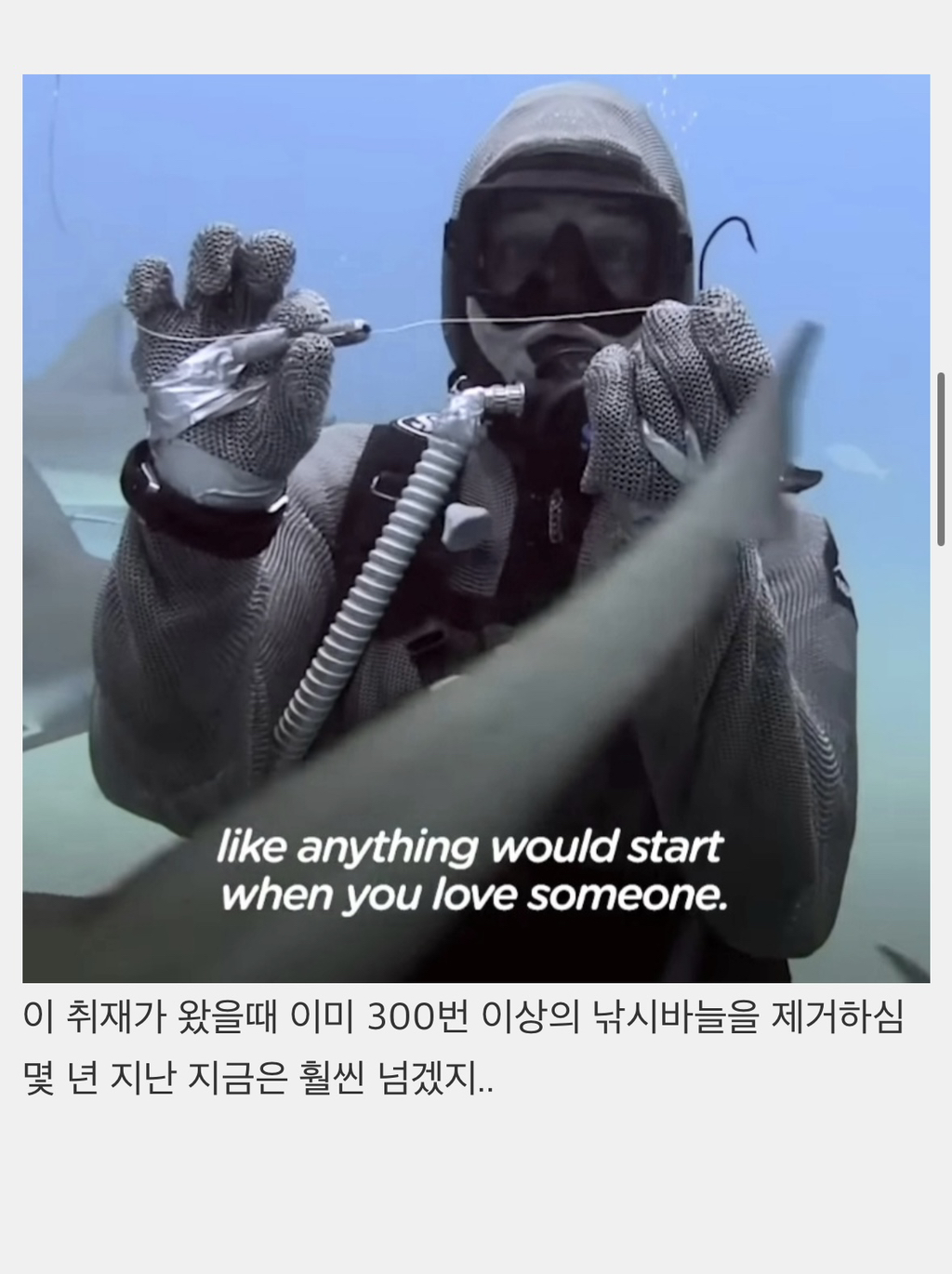 상어들의 맛집이 된 다이버고2때 잊지 못할 빼빼로데이 | 인스티즈