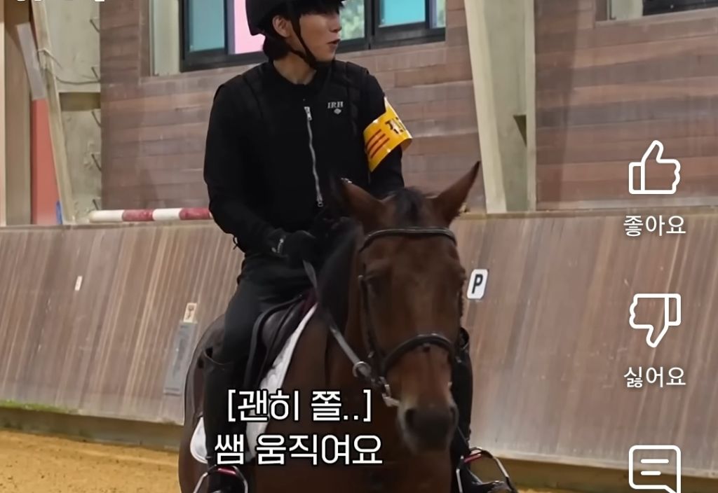 소싯적에 말좀 타봤다는 아이돌 | 인스티즈