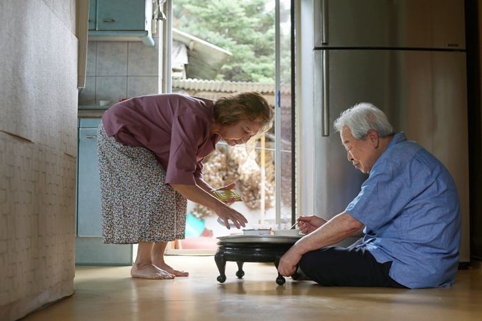 "외로울까봐 반찬도 챙겨줬는데"…20년 지인 70대女 살해한 60대男 | 인스티즈