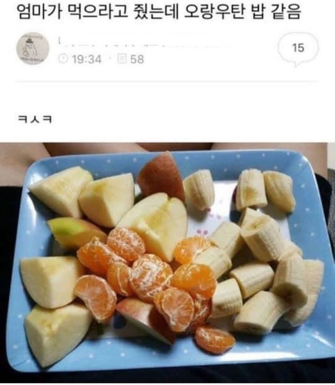  전설의 오랑우탄 밥