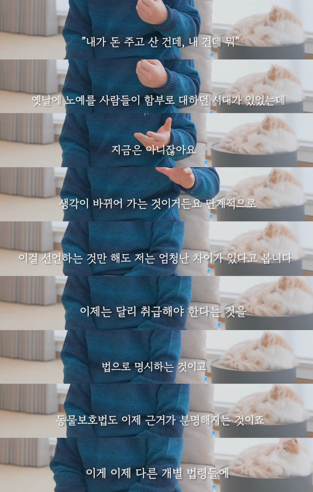 이재명이 그리고 있는 동물복지정책 | 인스티즈