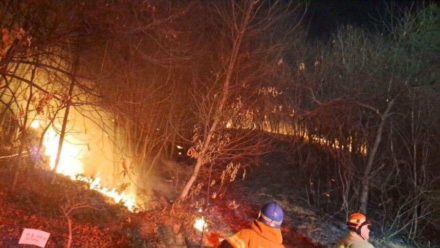 화성 야산서 화재로 1600㎡ 소실…1시간20분만에 진화 | 인스티즈