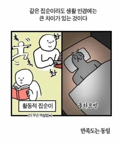 집순이 차이 | 인스티즈