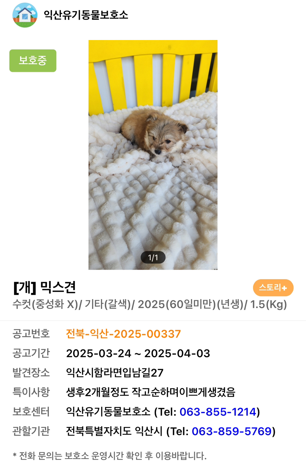 따끈하고 말랑한...♨️ | 인스티즈