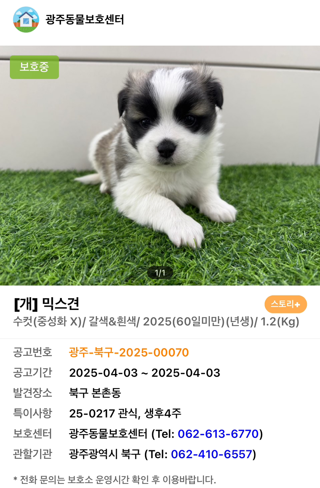 따끈하고 말랑한...♨️ | 인스티즈