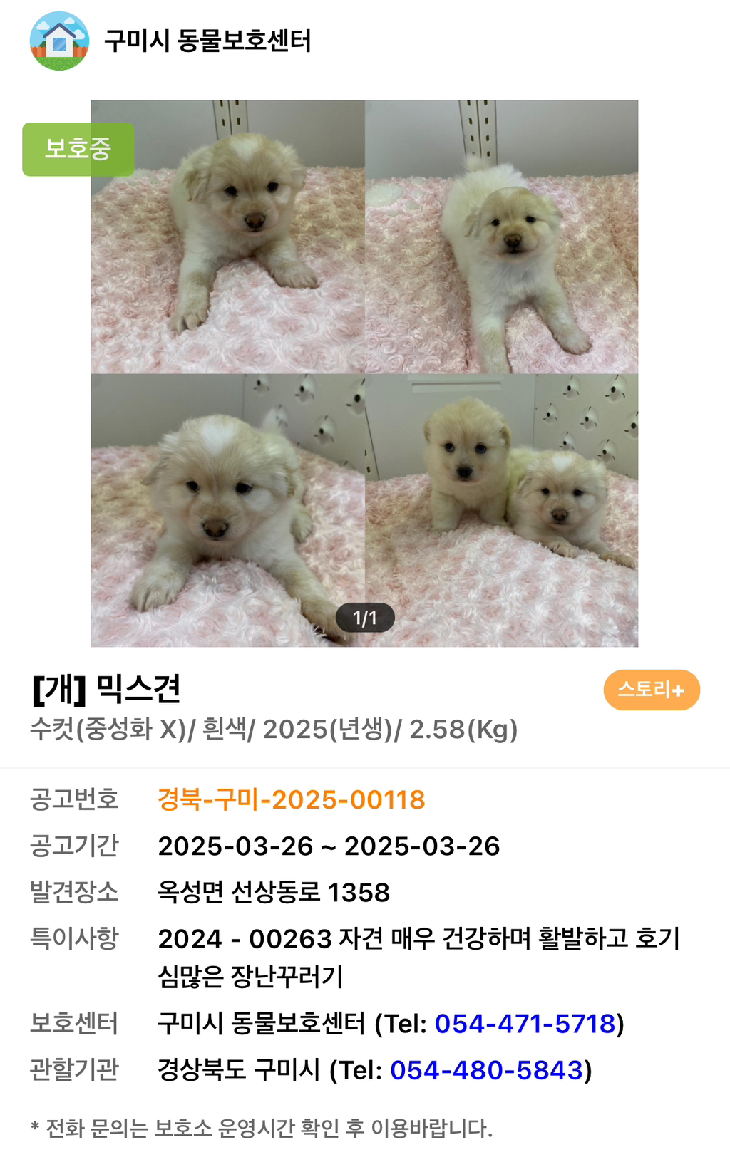 따끈하고 말랑한...♨️ | 인스티즈