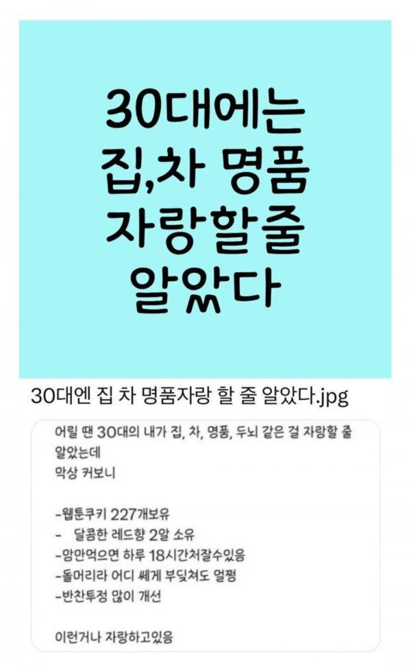 30대에는 집, 차, 명품 자랑할 줄 알았다 | 인스티즈