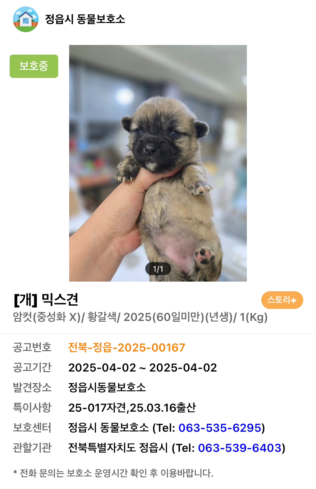 따끈하고 말랑한...♨️ | 인스티즈