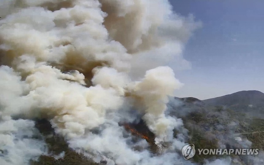 경남 하동 산불 겨우 꺼놨더니 방금 근처에서 또 예초기 돌리다 산불 | 인스티즈