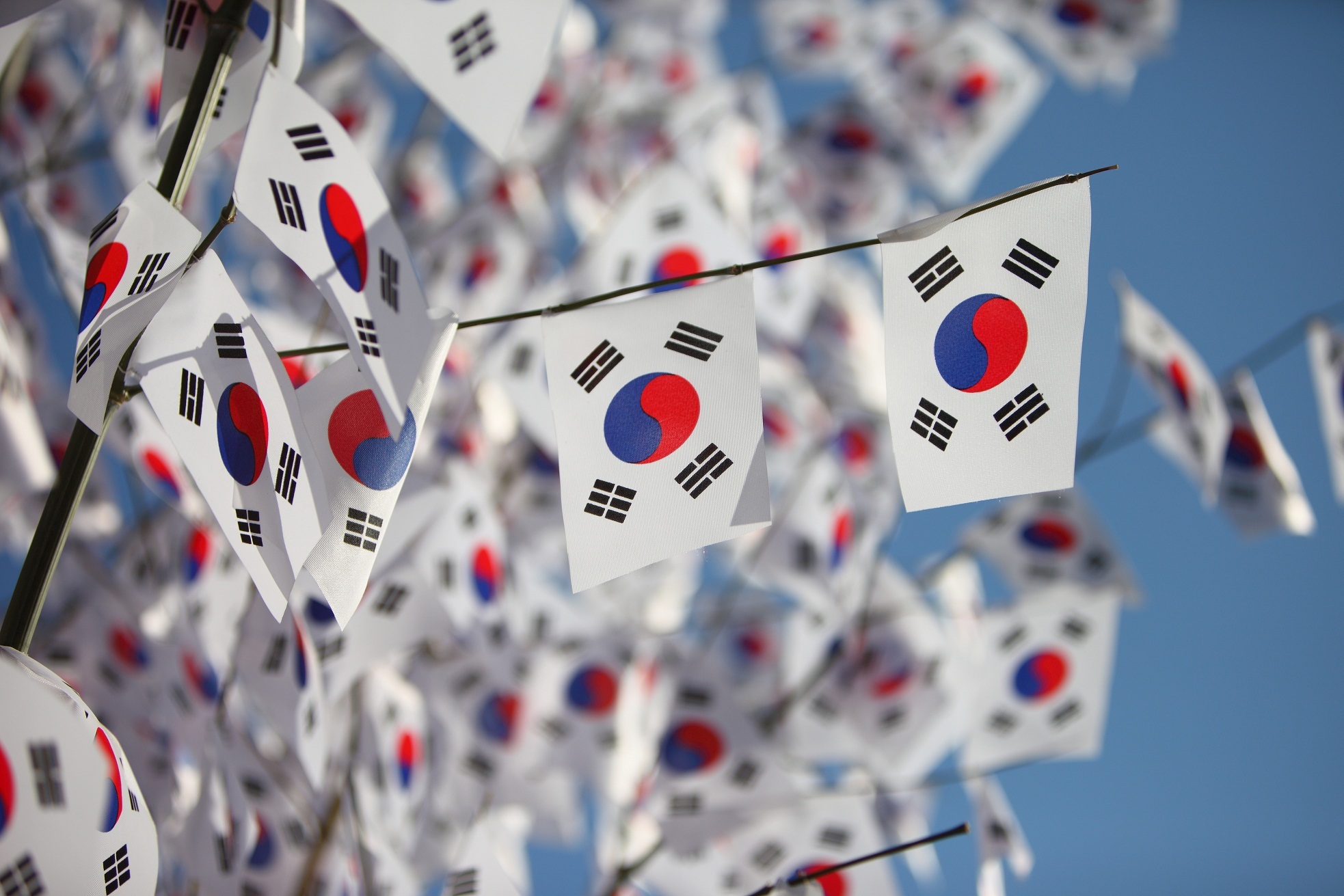 대한민국 헌법의 전문과 제1조에 담긴 이념 | 인스티즈