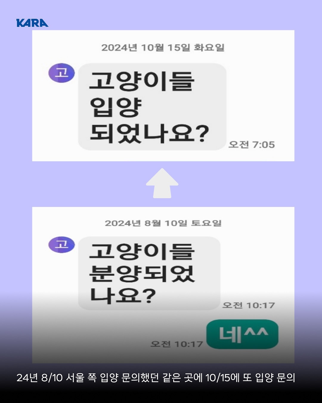 ⚠️고양이 입양보낼때 조심해⚠️ | 인스티즈