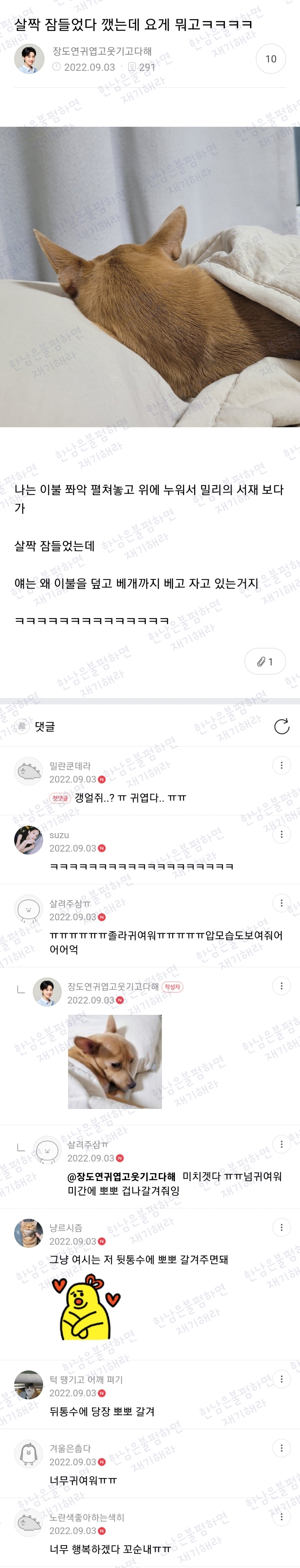 월요일엔 100장 깍담은 💌여시캡쳐💌 | 인스티즈