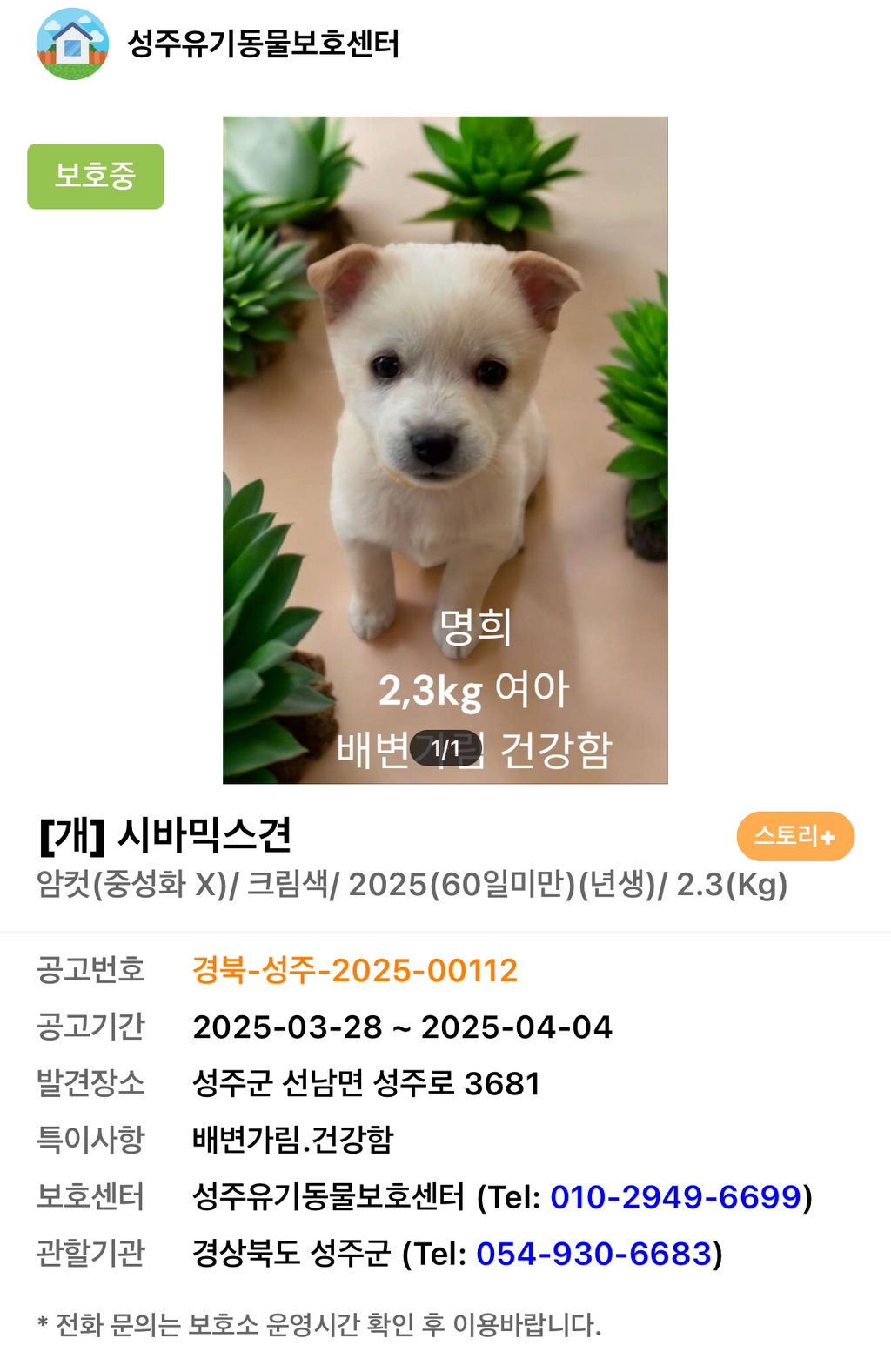 따끈하고 말랑한...♨️ | 인스티즈