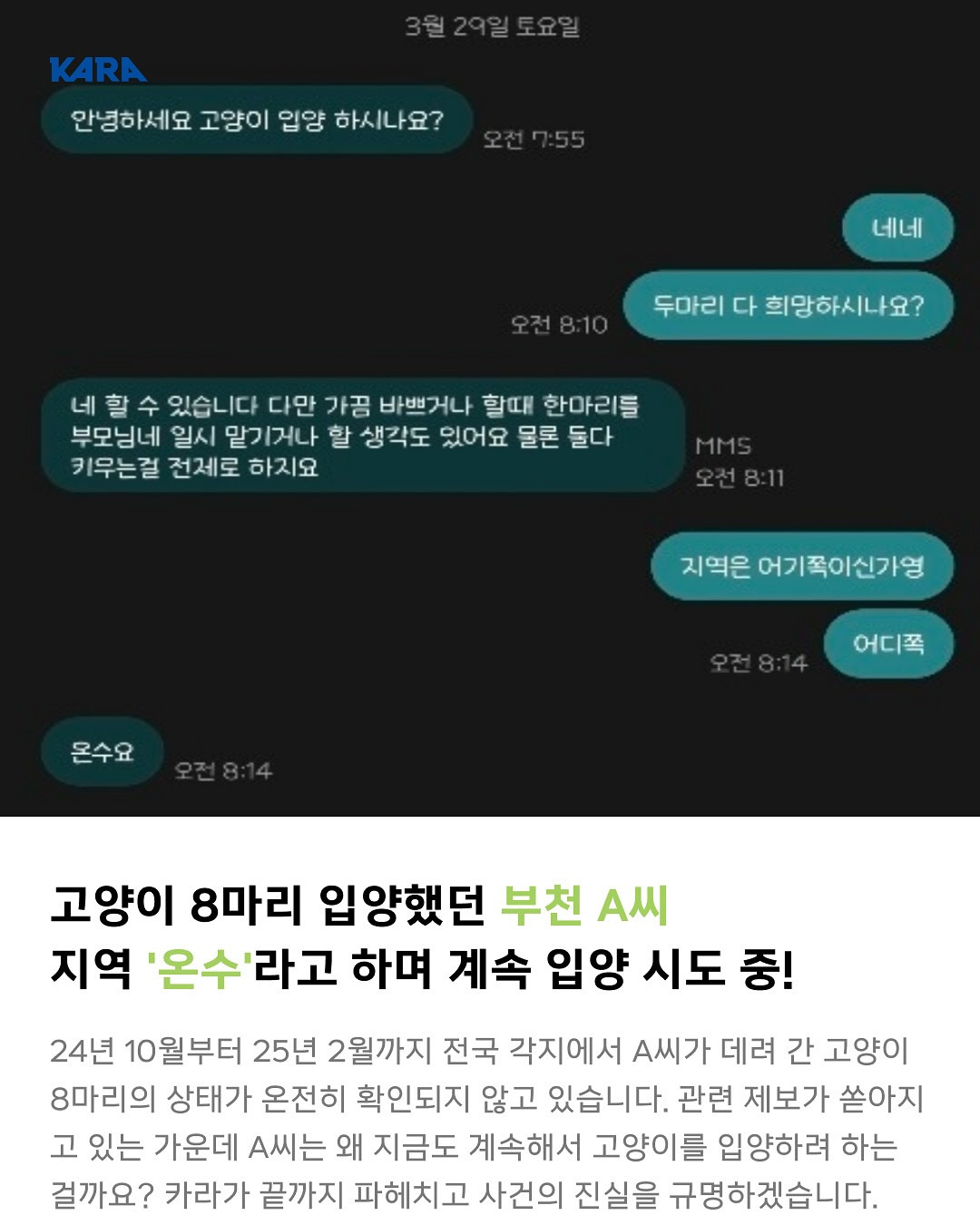 ⚠️고양이 입양보낼때 조심해⚠️ | 인스티즈