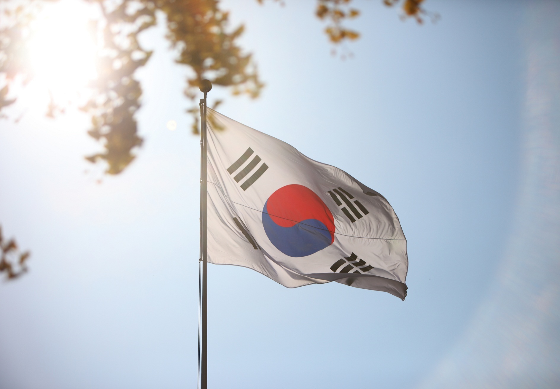 대한민국 헌법의 전문과 제1조에 담긴 이념 | 인스티즈