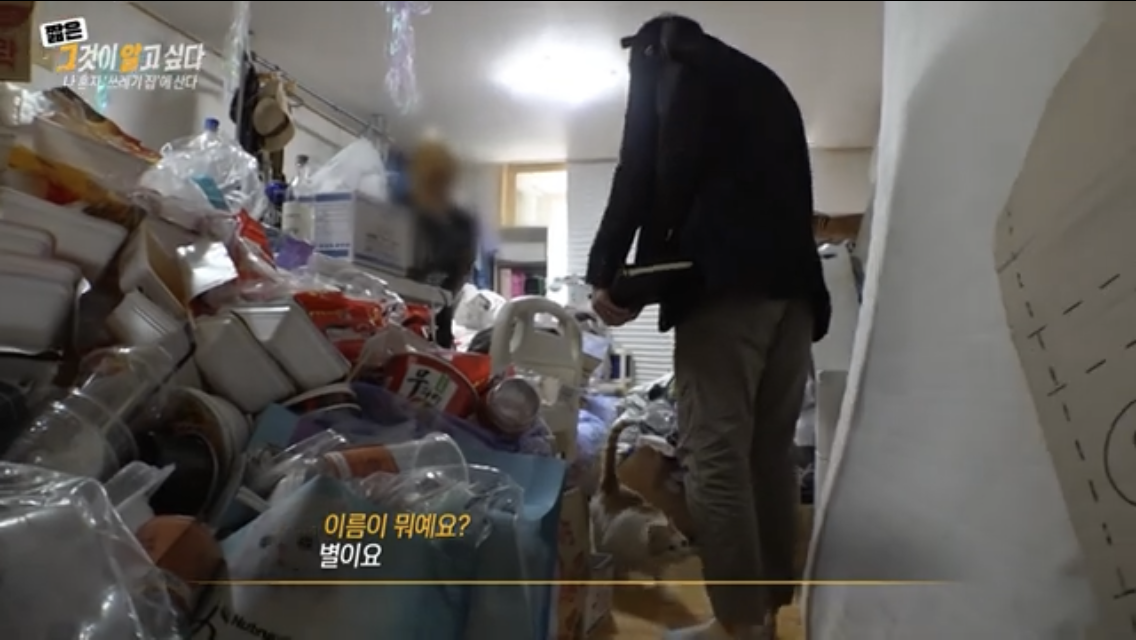 그알 쓰레기집에 처음 방문한 제작진이 신기한 고양이 별이 | 인스티즈