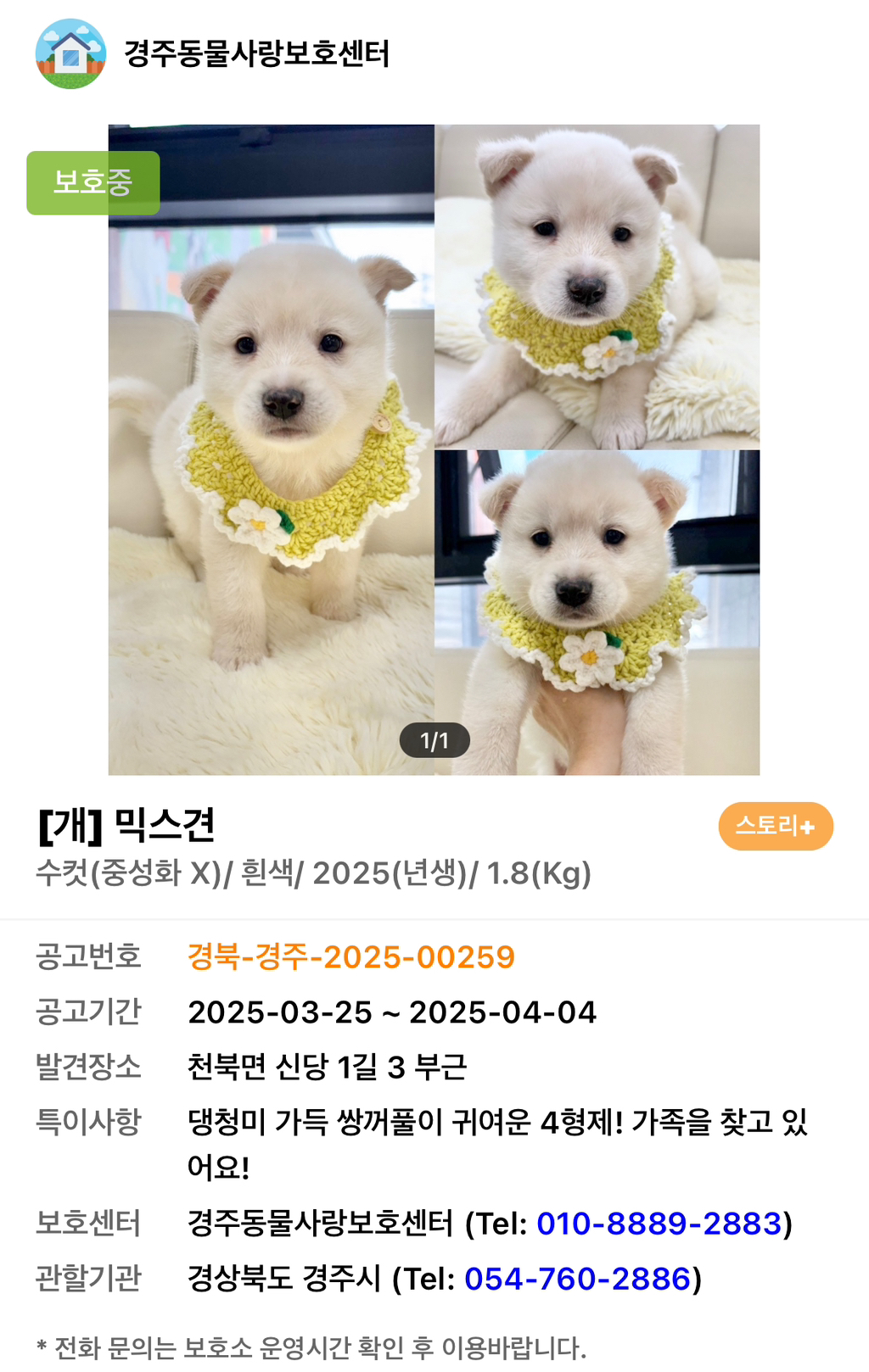 따끈하고 말랑한...♨️ | 인스티즈