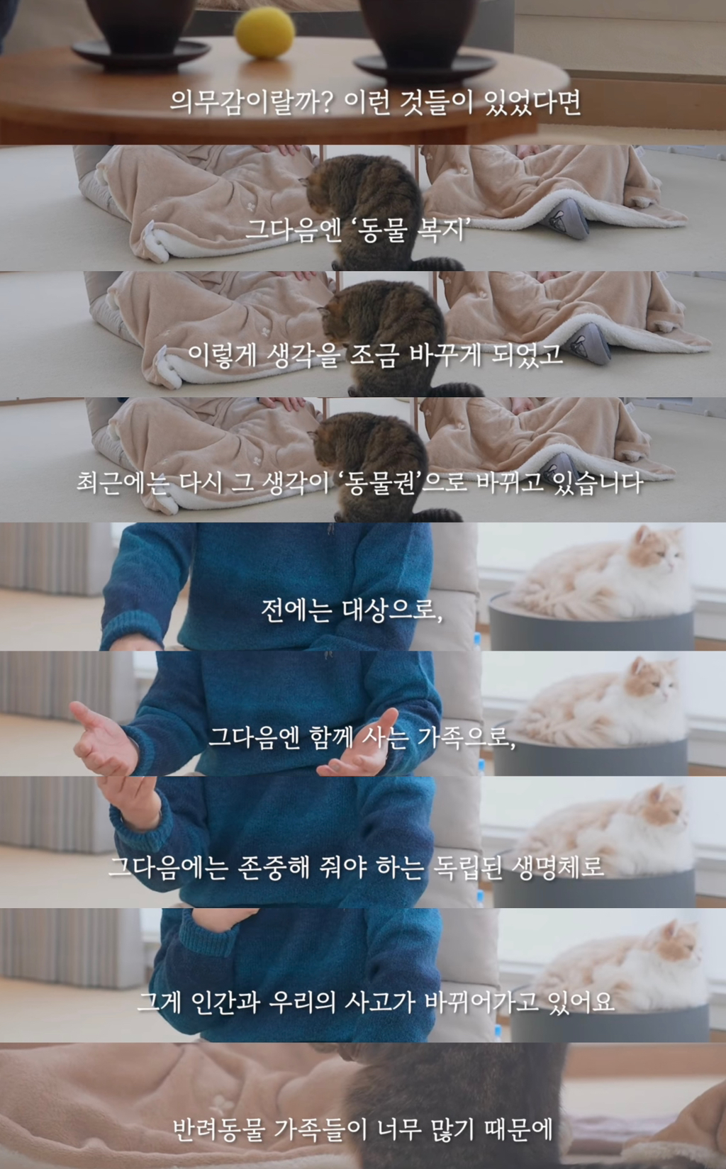 이재명이 그리고 있는 동물복지정책 | 인스티즈