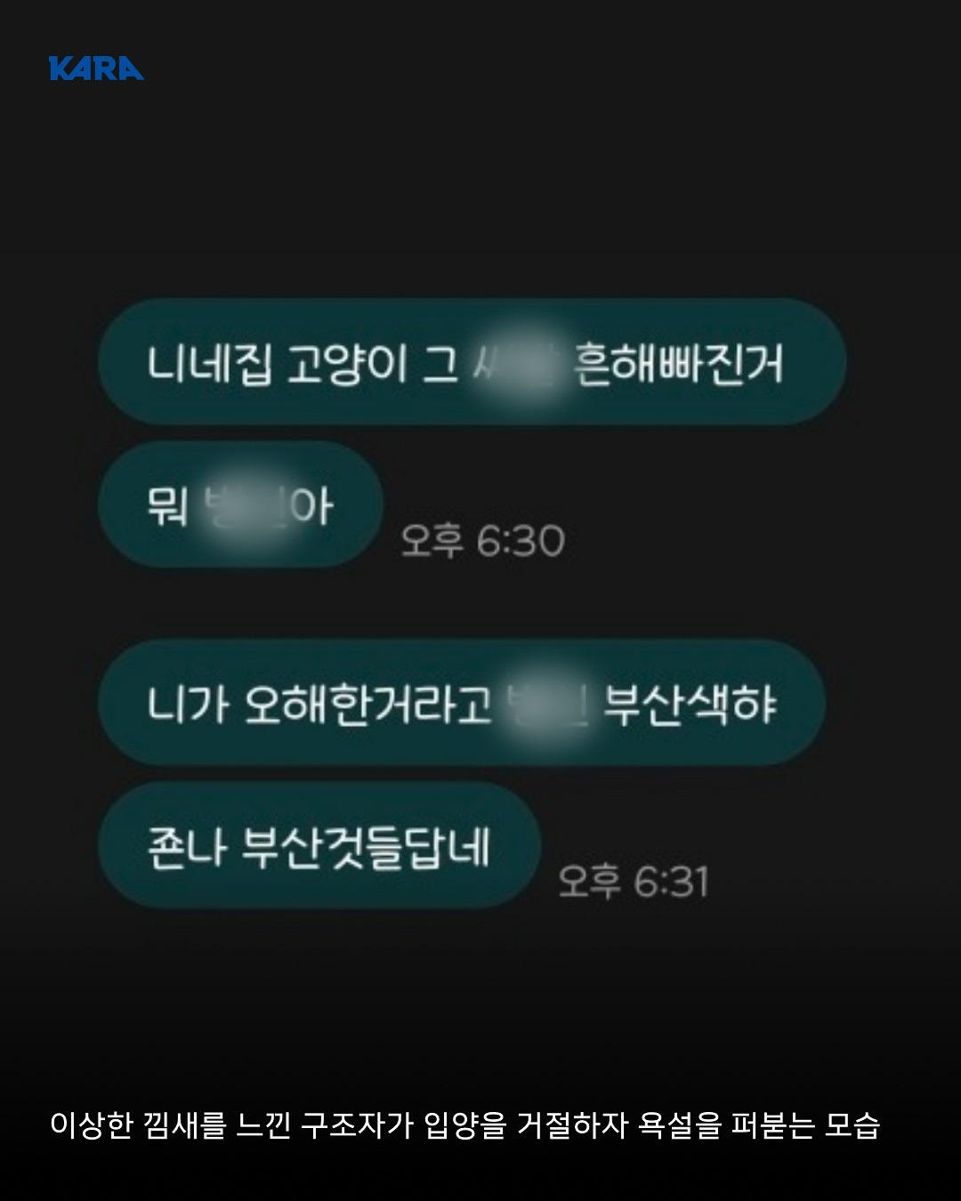 ⚠️고양이 입양보낼때 조심해⚠️ | 인스티즈