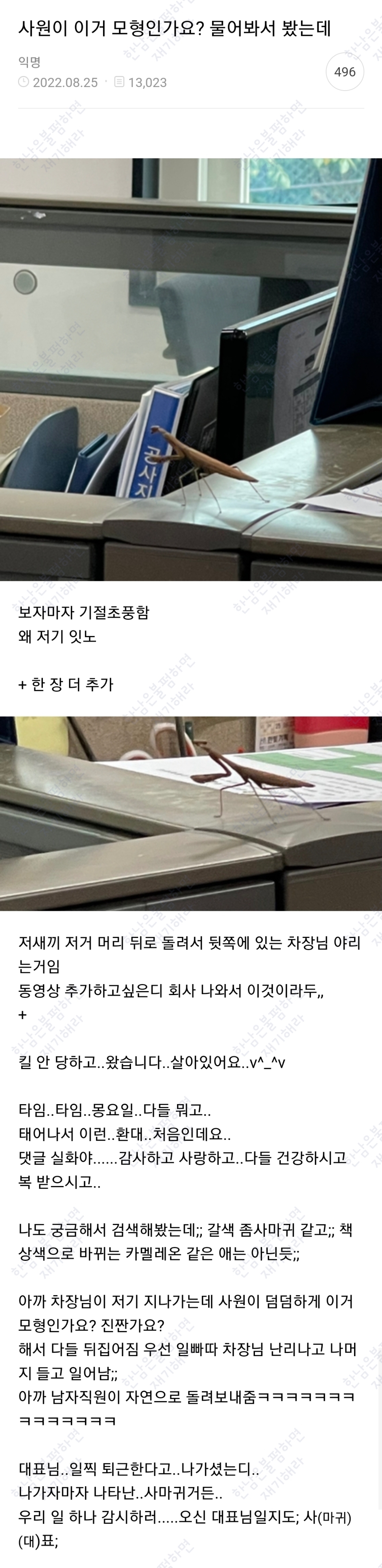 월요일엔 100장 깍담은 💌여시캡쳐💌 | 인스티즈