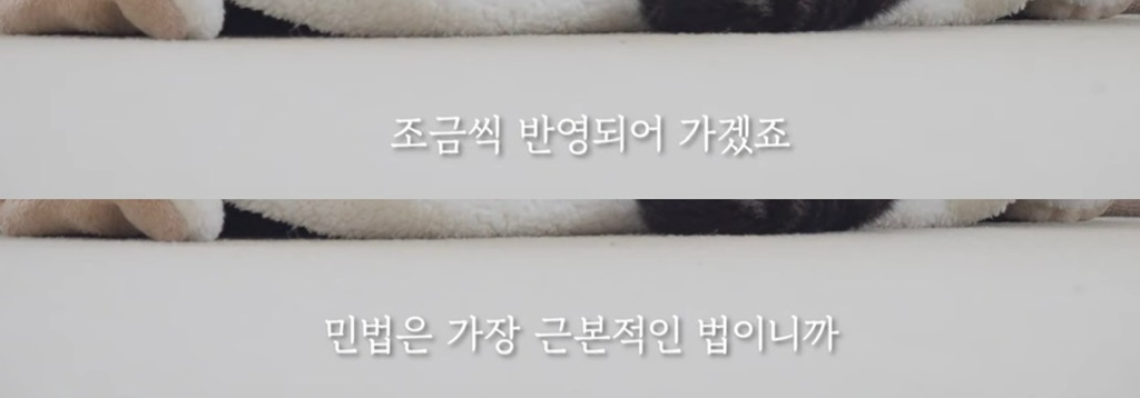 이재명이 그리고 있는 동물복지정책 | 인스티즈