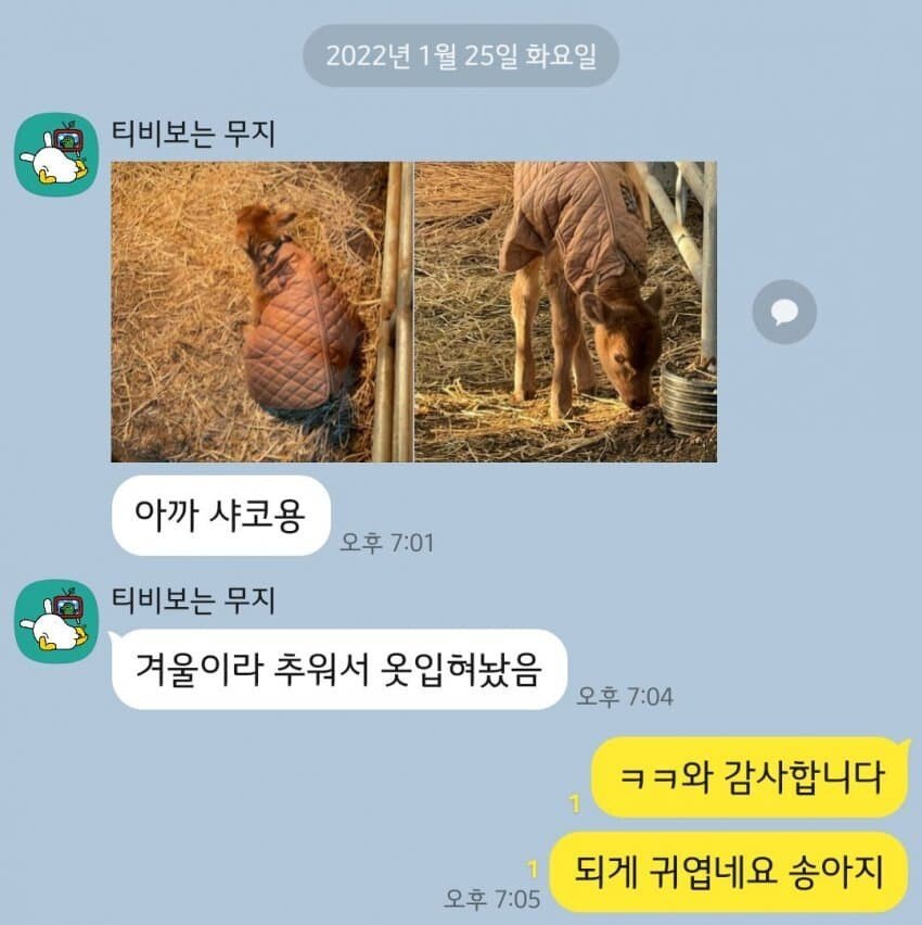 롤 탈주 사유 | 인스티즈