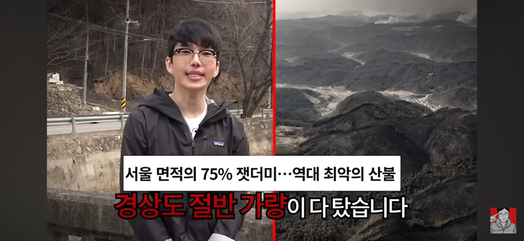 경상도 산불 피해 지역에 간 보겸 근황 | 인스티즈