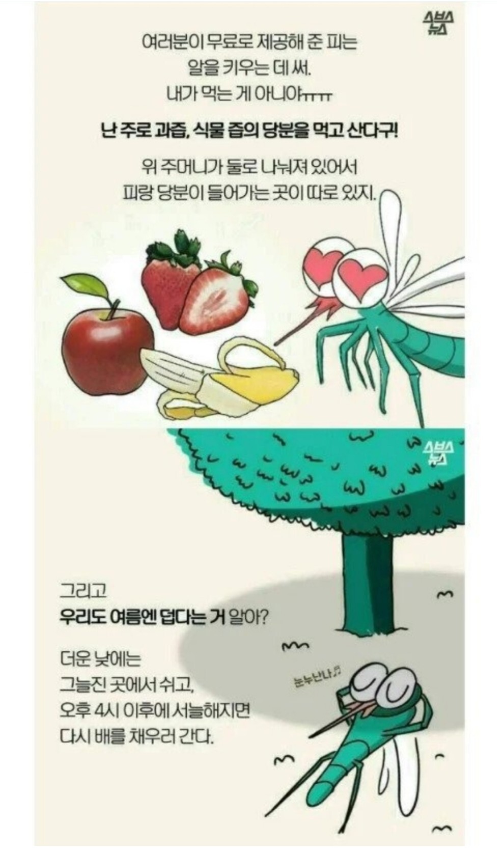 모기에 관한 오해와 진실 | 인스티즈