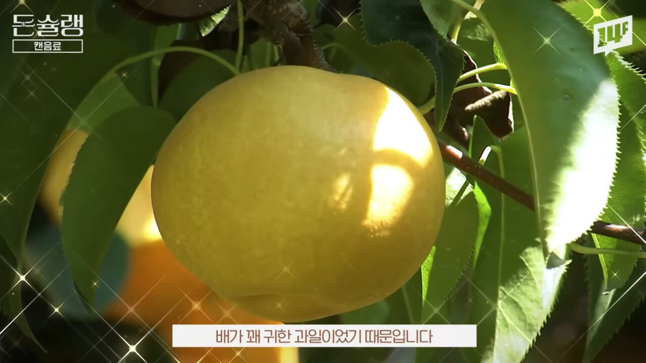 너무 성공 해서 카피 제품만 20개가 넘게 나왔다는 우리나라 음료 | 인스티즈