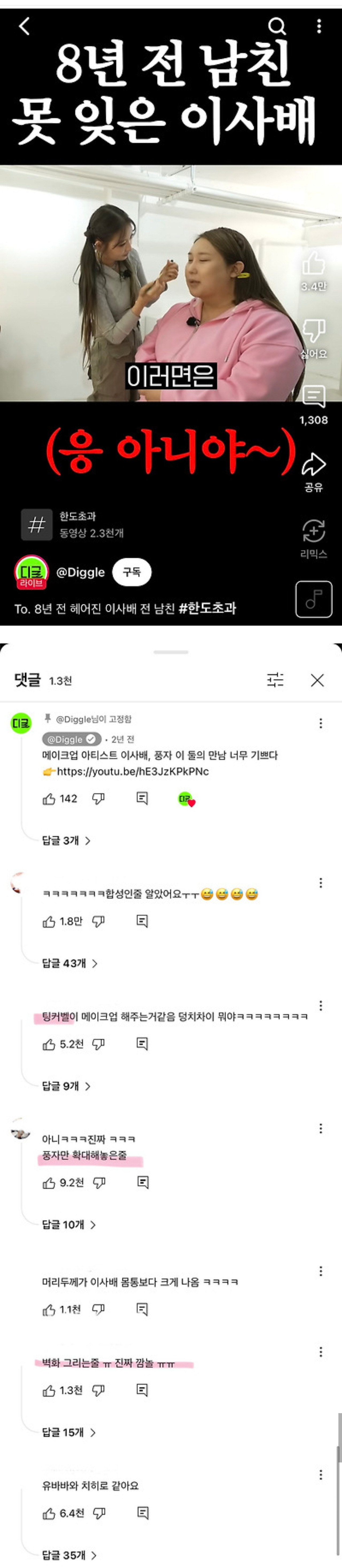  풍자 화장해주는 이사배