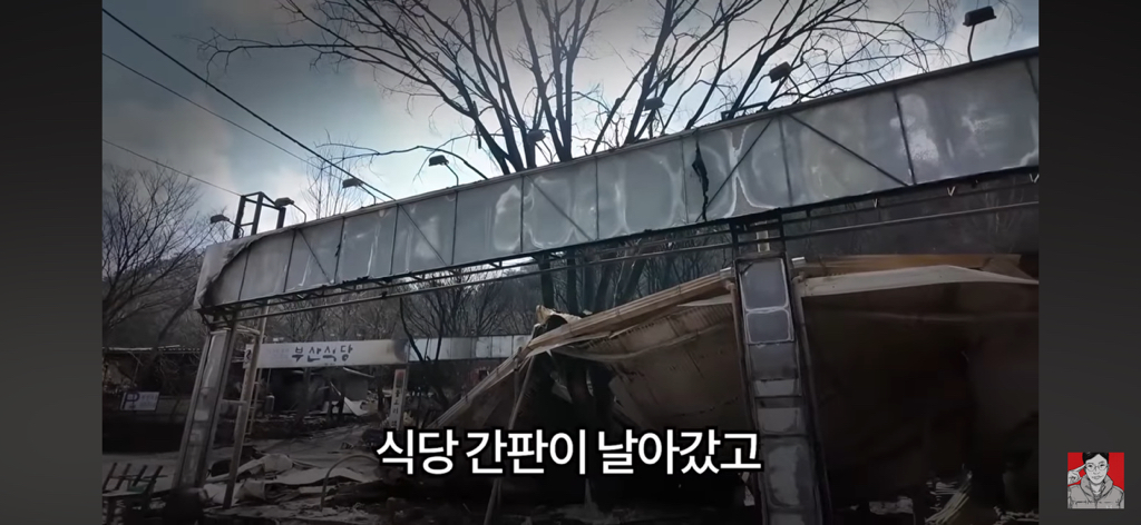경상도 산불 피해 지역에 간 보겸 근황 | 인스티즈
