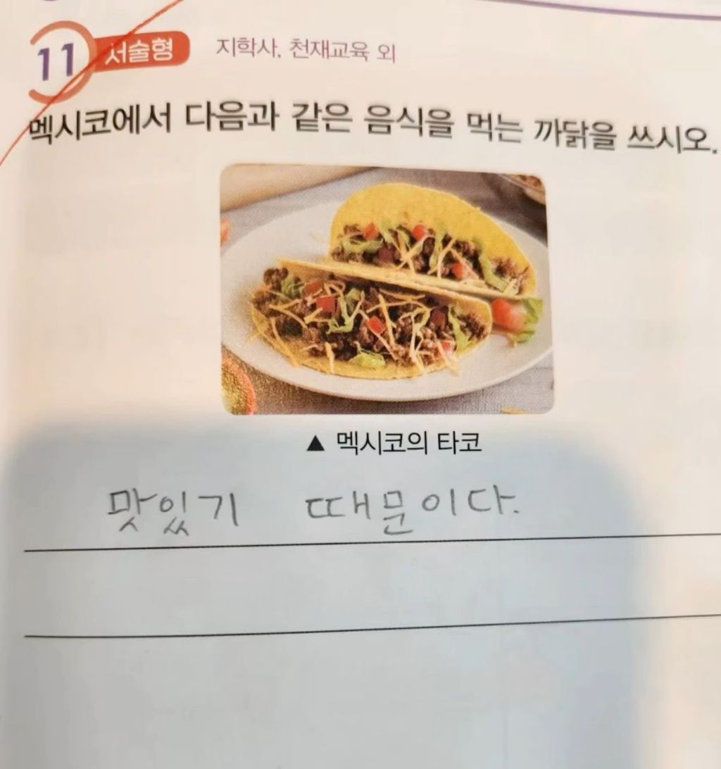 멕시코에서 타코를 먹는 까닭을 쓰시오 | 인스티즈