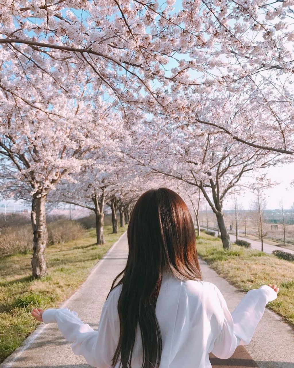 봄마다 꺼내보는 인간 벚꽃 정채연 | 인스티즈