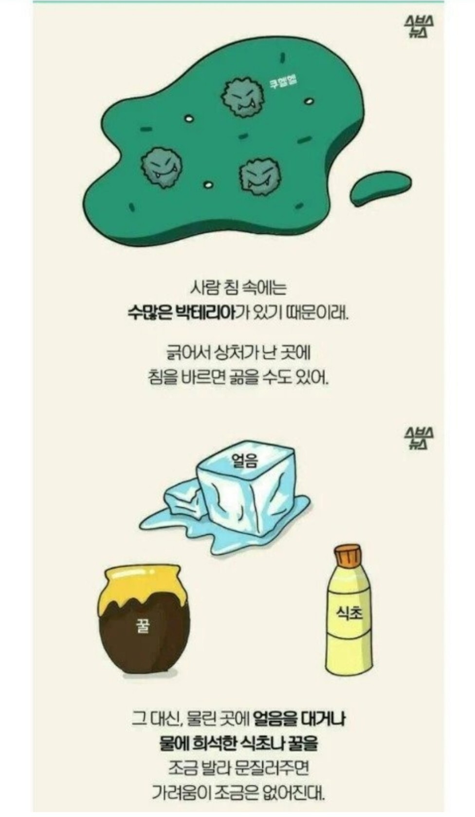 모기에 관한 오해와 진실 | 인스티즈