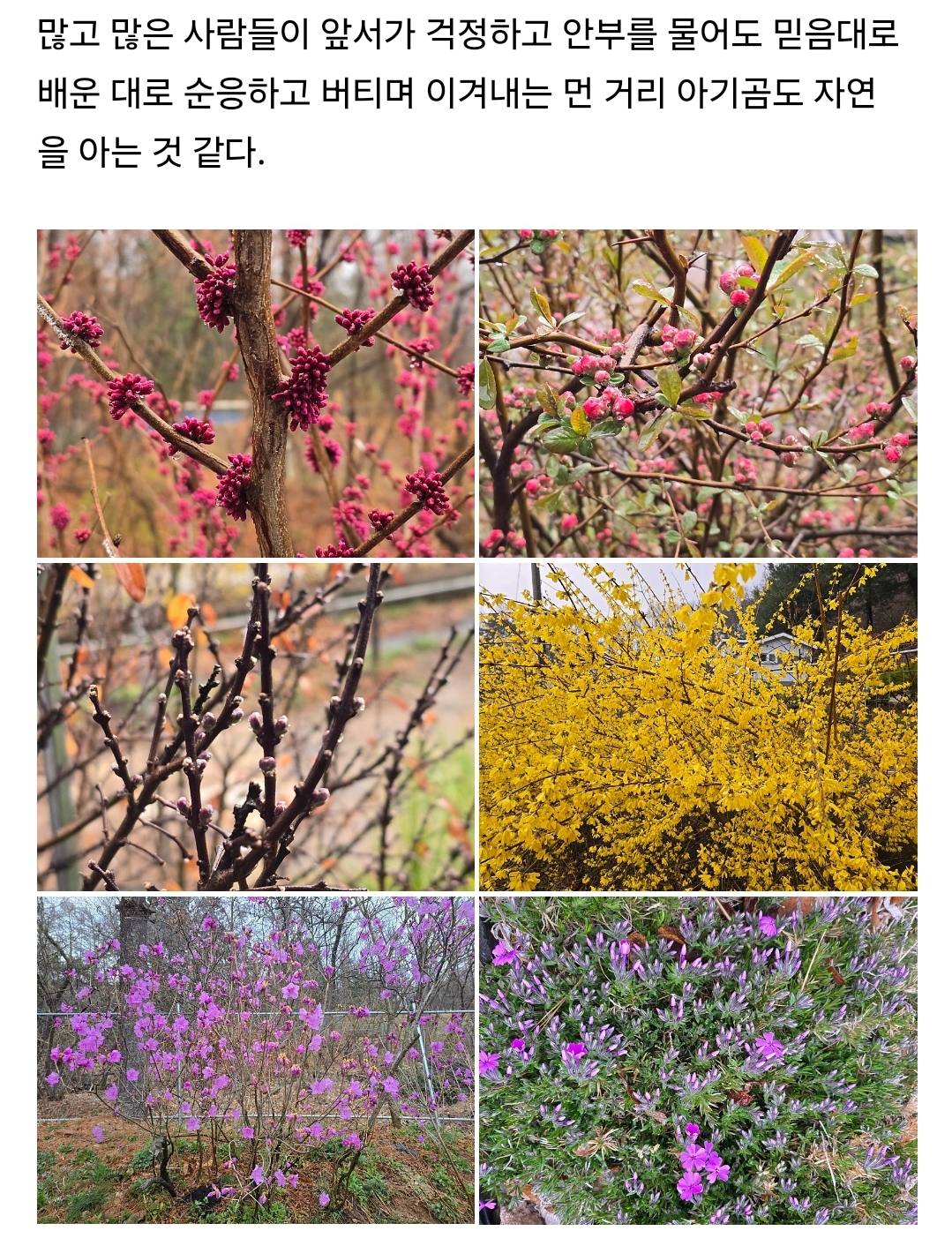 이번주 올라온 강바오님 글 중 먼거리 아기곰 이야기🐼💛 | 인스티즈
