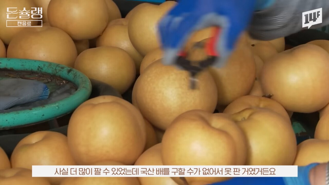 너무 성공 해서 카피 제품만 20개가 넘게 나왔다는 우리나라 음료 | 인스티즈