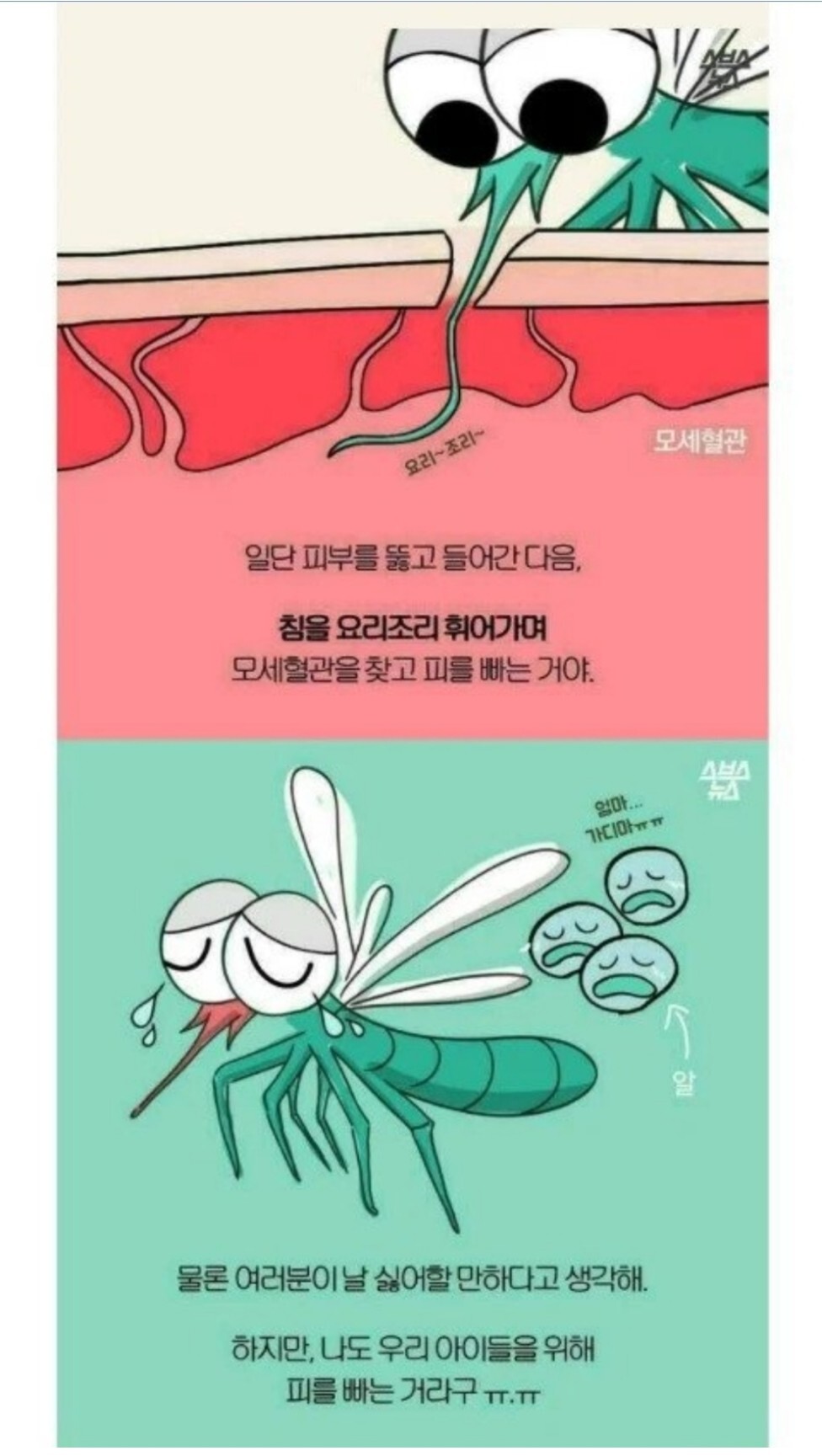모기에 관한 오해와 진실 | 인스티즈