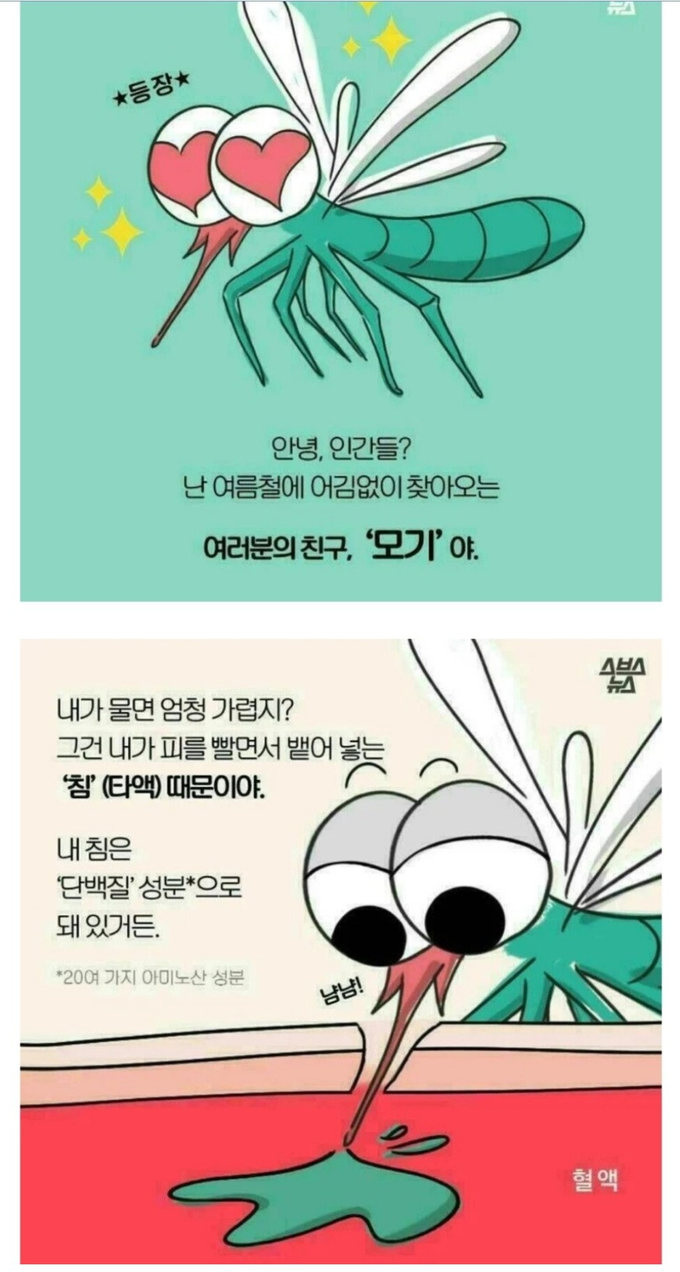 모기에 관한 오해와 진실 | 인스티즈