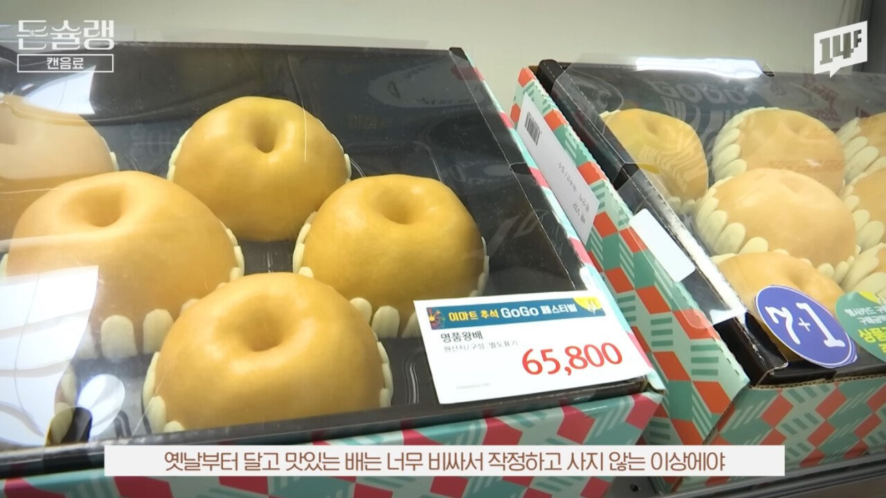 너무 성공 해서 카피 제품만 20개가 넘게 나왔다는 우리나라 음료 | 인스티즈