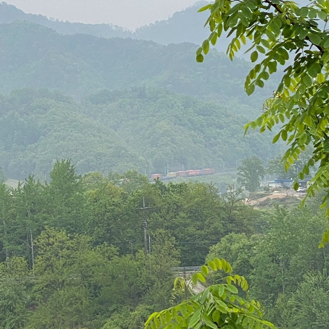 충북 옥천 시골 여름풍경.jpg (힐링글) | 인스티즈