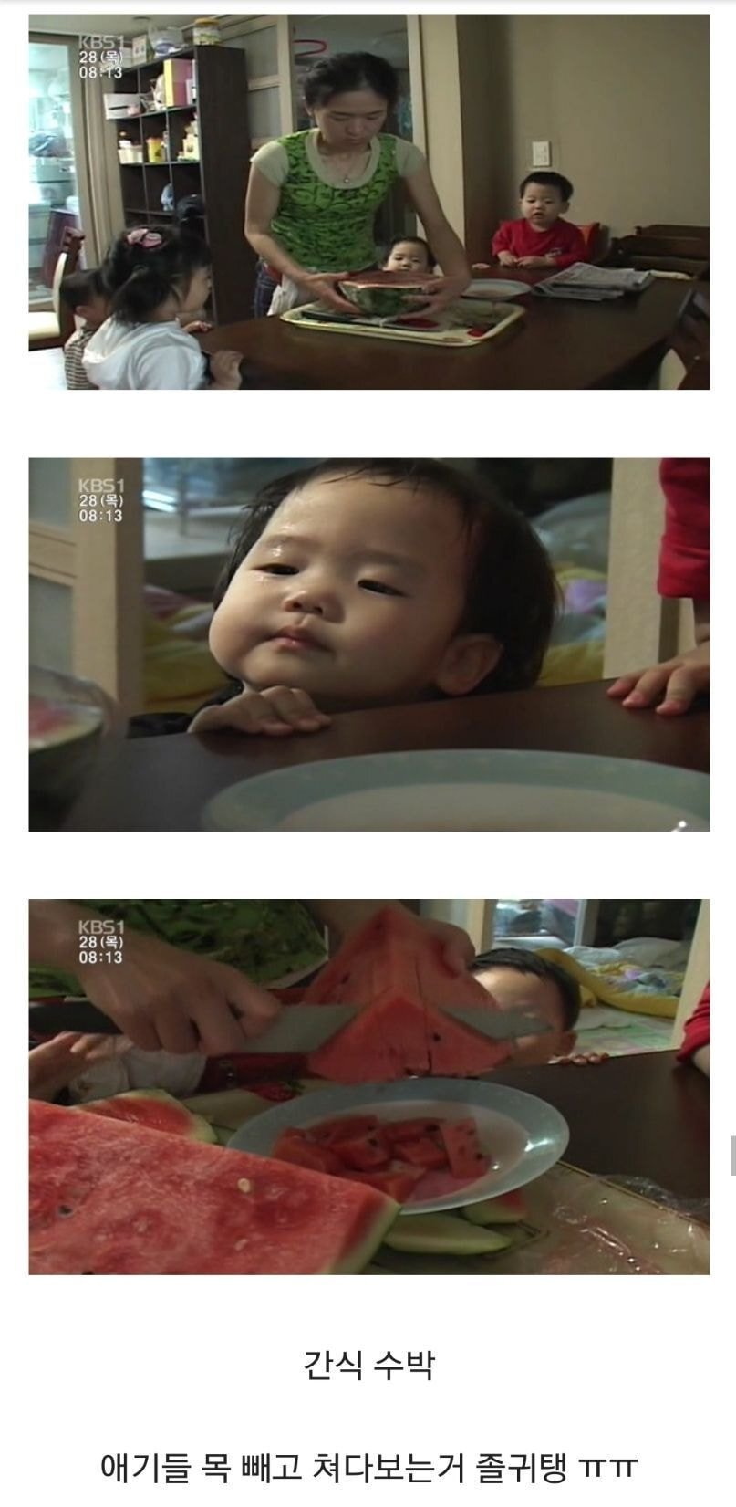 네쌍둥이 어머님이 만들어 먹인 애기들 건강식단.jpg | 인스티즈