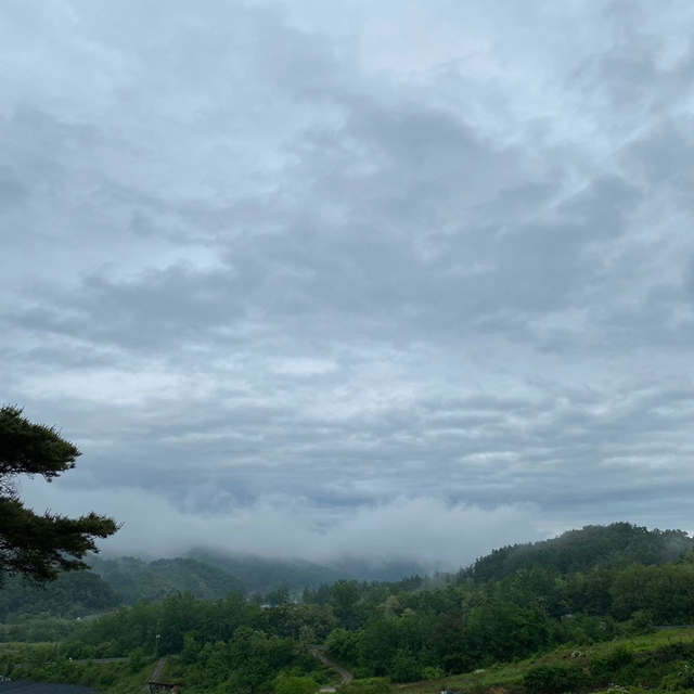 충북 옥천 시골 여름풍경.jpg (힐링글) | 인스티즈