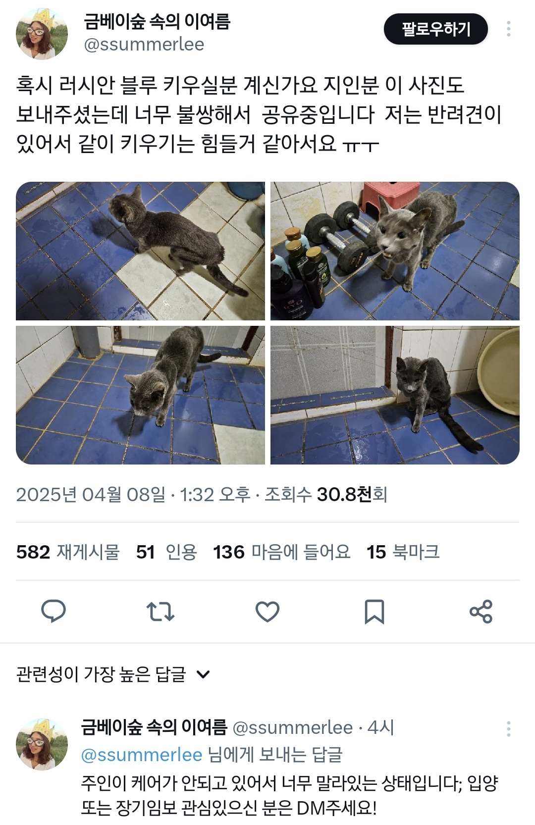 혹시 러시안블루 키우실 분 계신가요ㅠㅜ입양 or 임보처 구함.twt | 인스티즈
