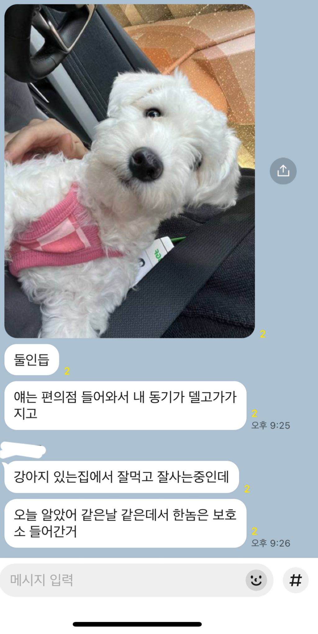 준바오들아 안락사 이틀 남은 아기 강아지 퍼가주라 | 인스티즈
