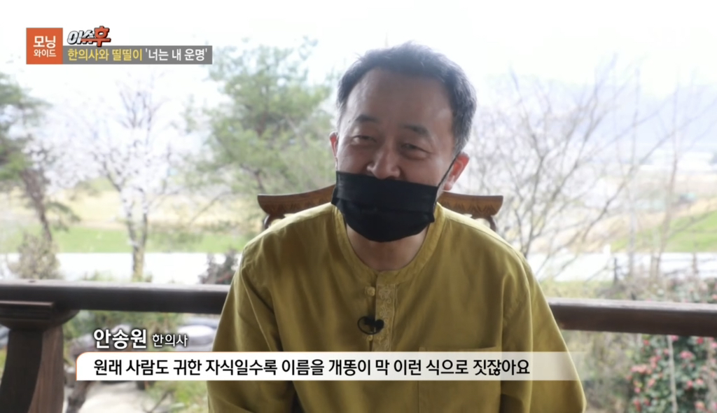 TV 동물농장 출연당시 가출해서 한의원 살린 강아지 '띨띨이' 근황 | 인스티즈